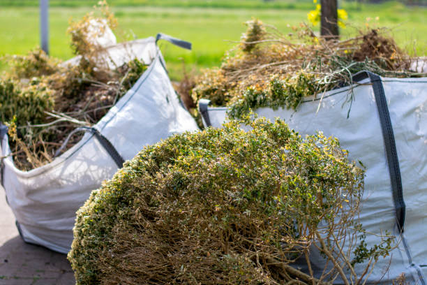 Best Basement Cleanout Services  in Dunlap, TN